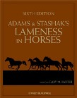 Adams' Lameness in Horses